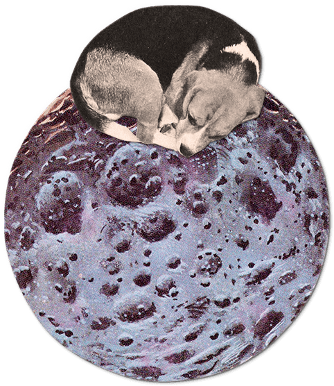 Собака спит на планете